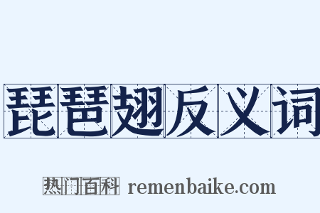琵琶翅反义词是什么意思的图片